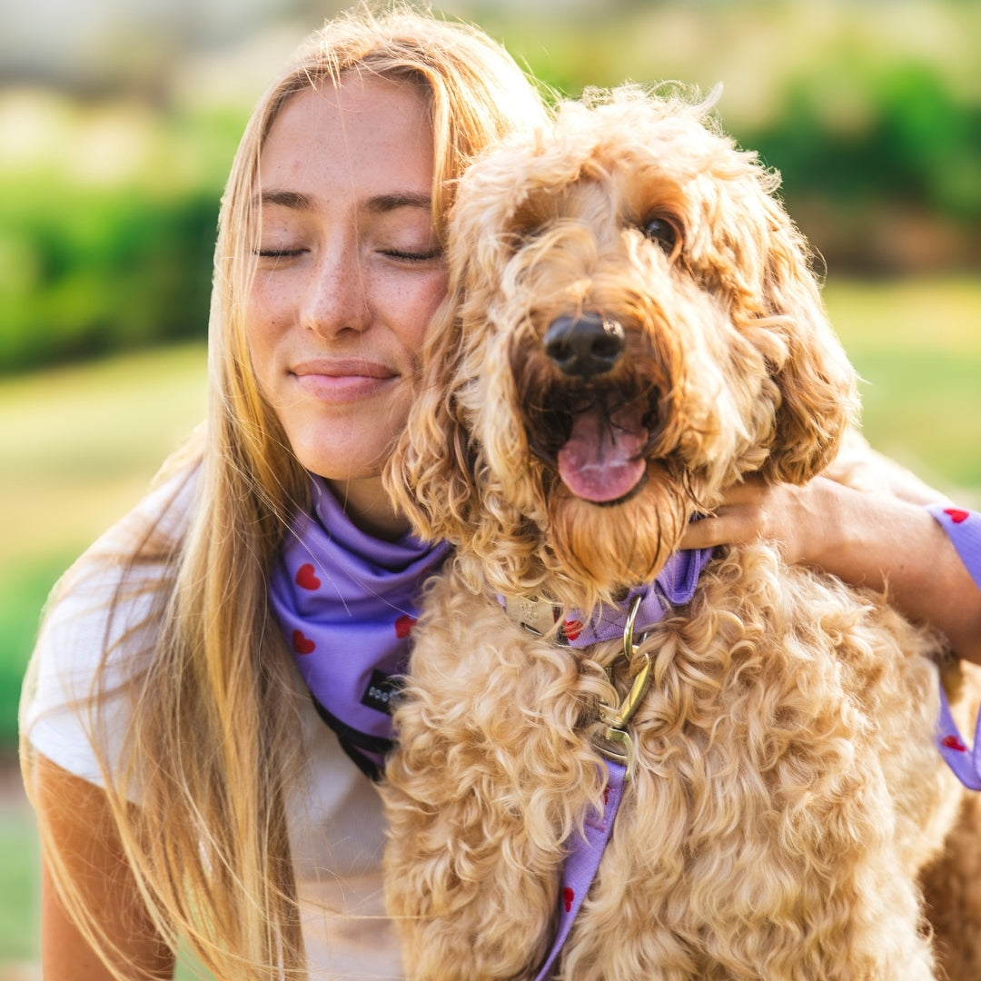 Hearts - Purple - Trail Hunter Duo Set