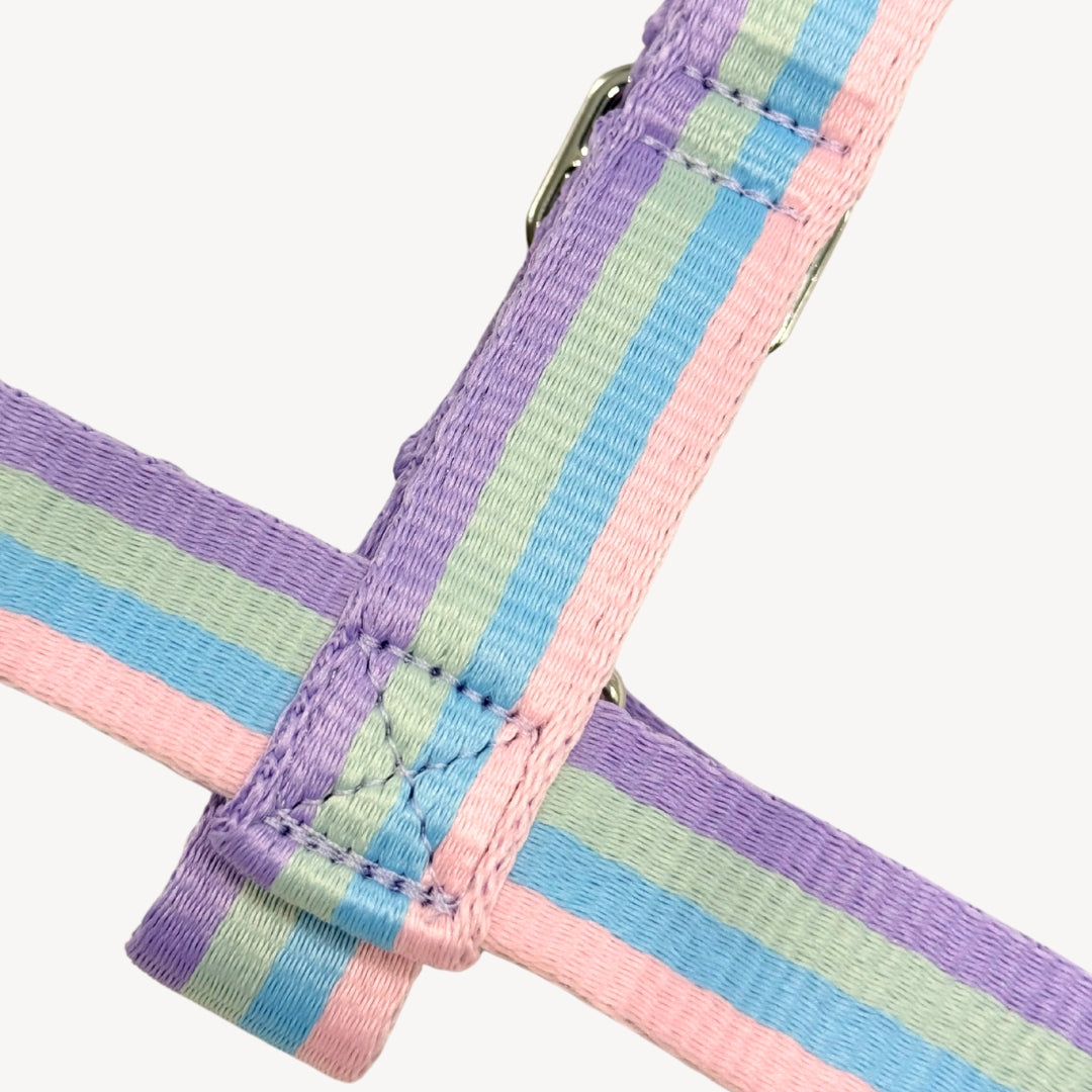 Arc-en-ciel - Harnais pour chien