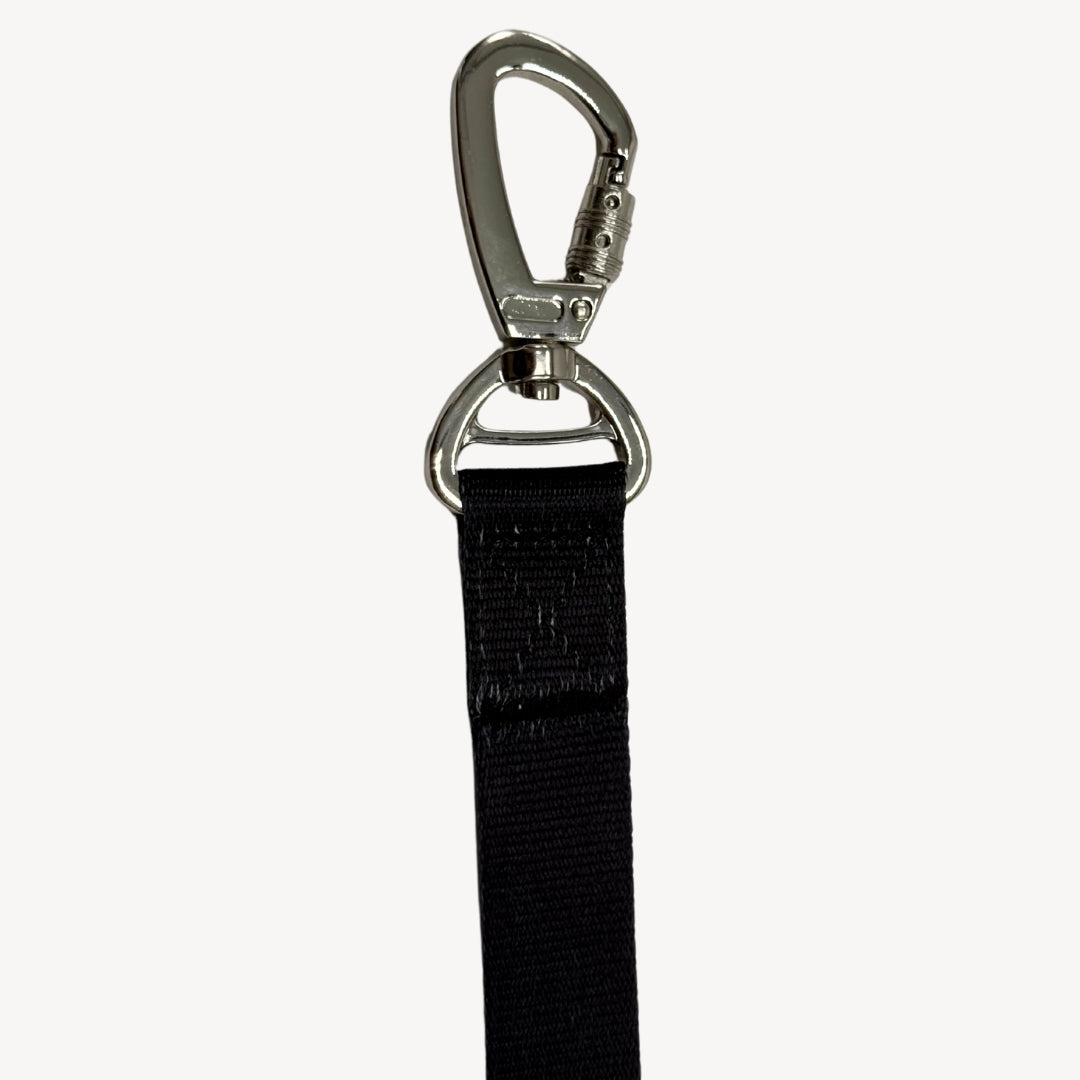 Solid - Black - Dog Leash