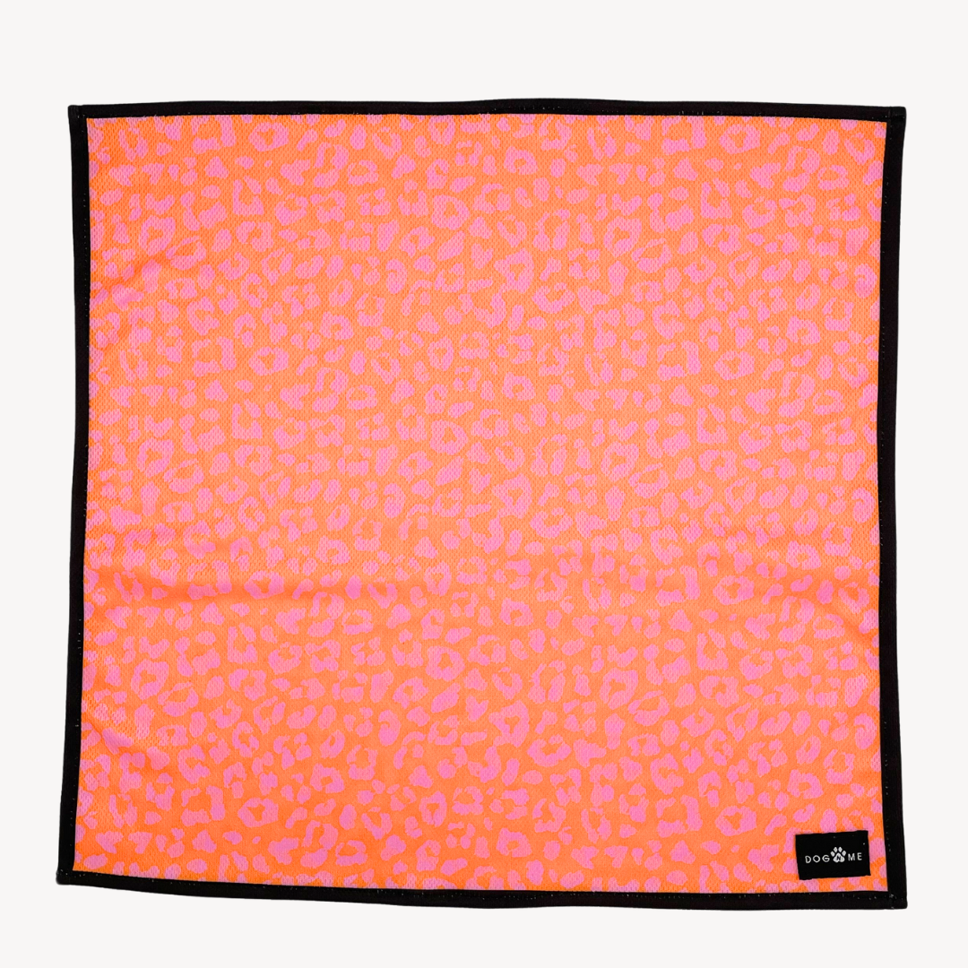 Panthère - Orange/Rose - Bandana