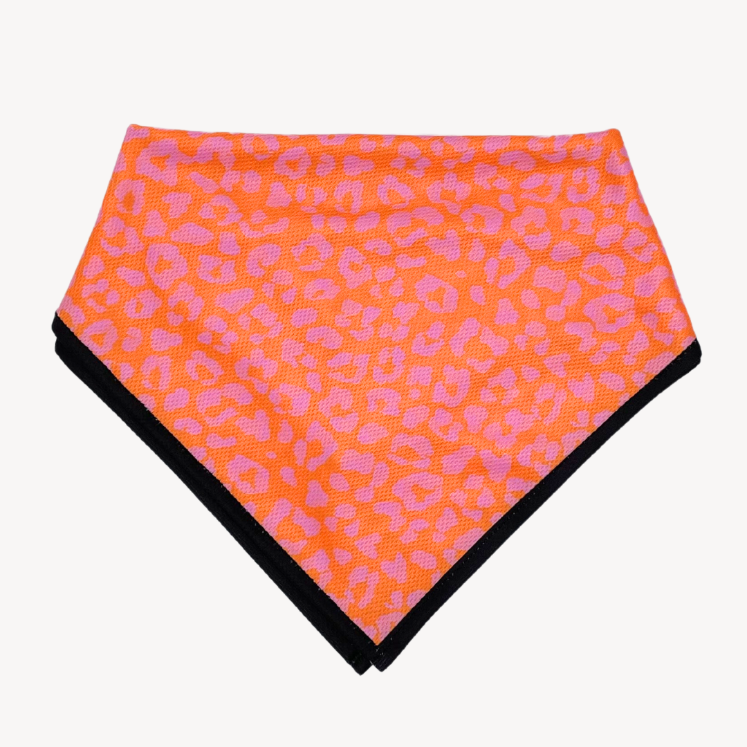 Panthère - Orange/Rose - Bandana