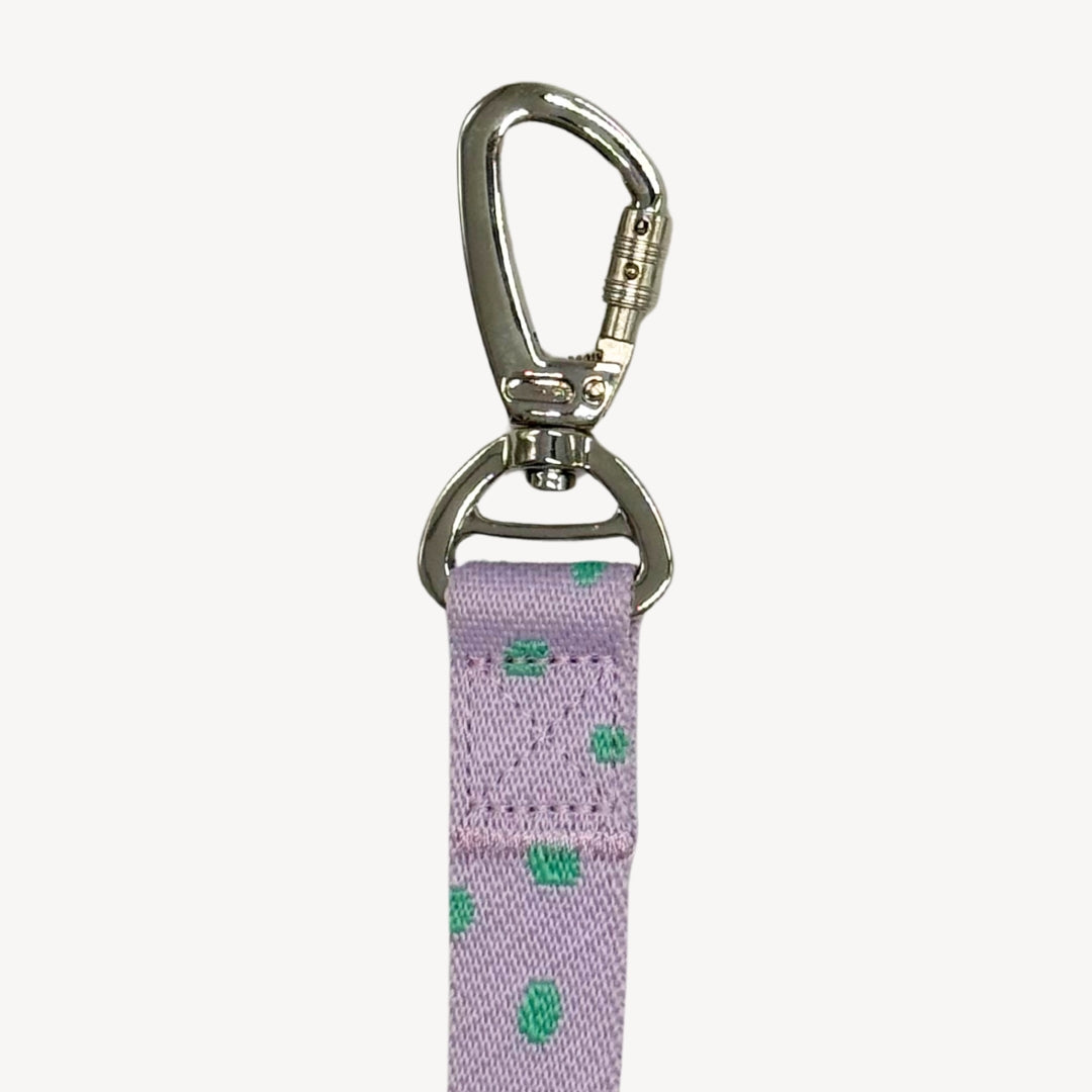 Polkadot - Laisse pour chien