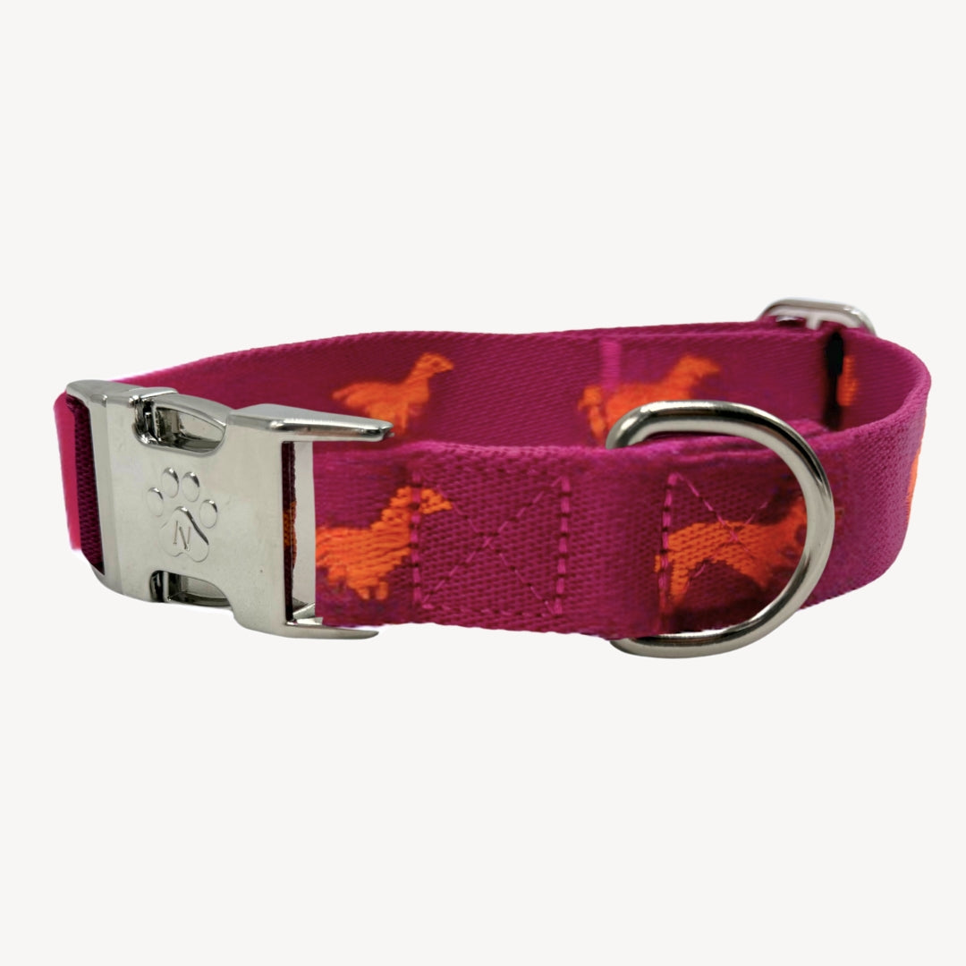 Teckels - Collier pour chien
