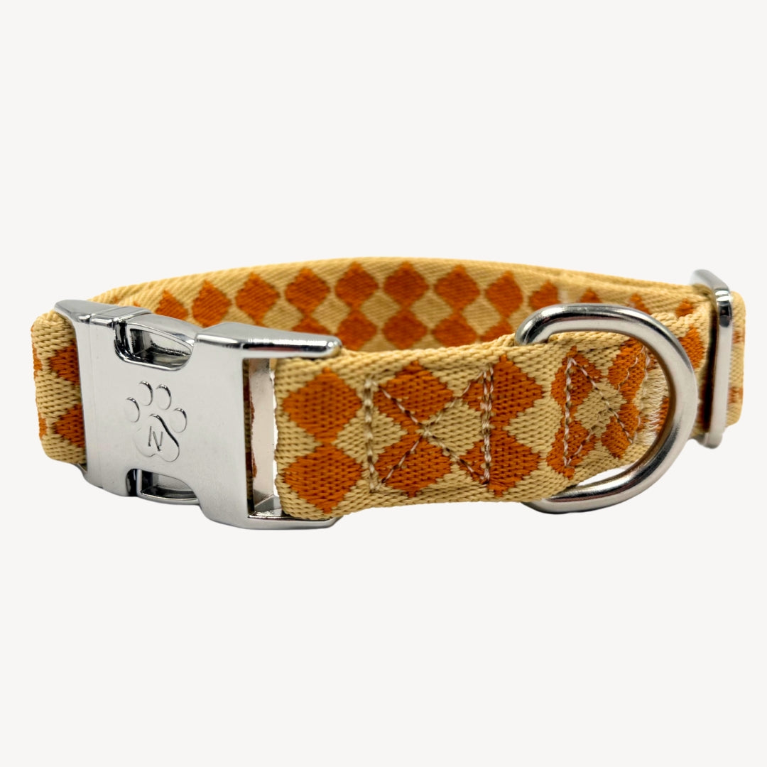 Checkers - Collier pour chien