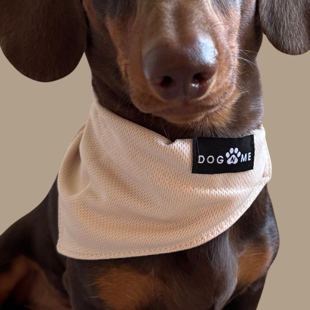Solid - Zand - Bandana Hond