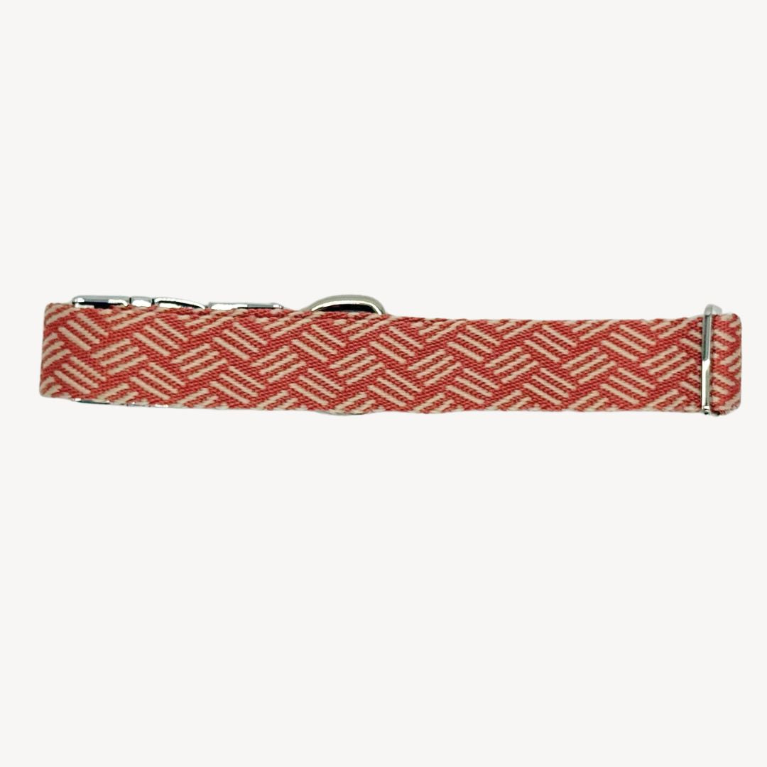 Weave - Dog Collar