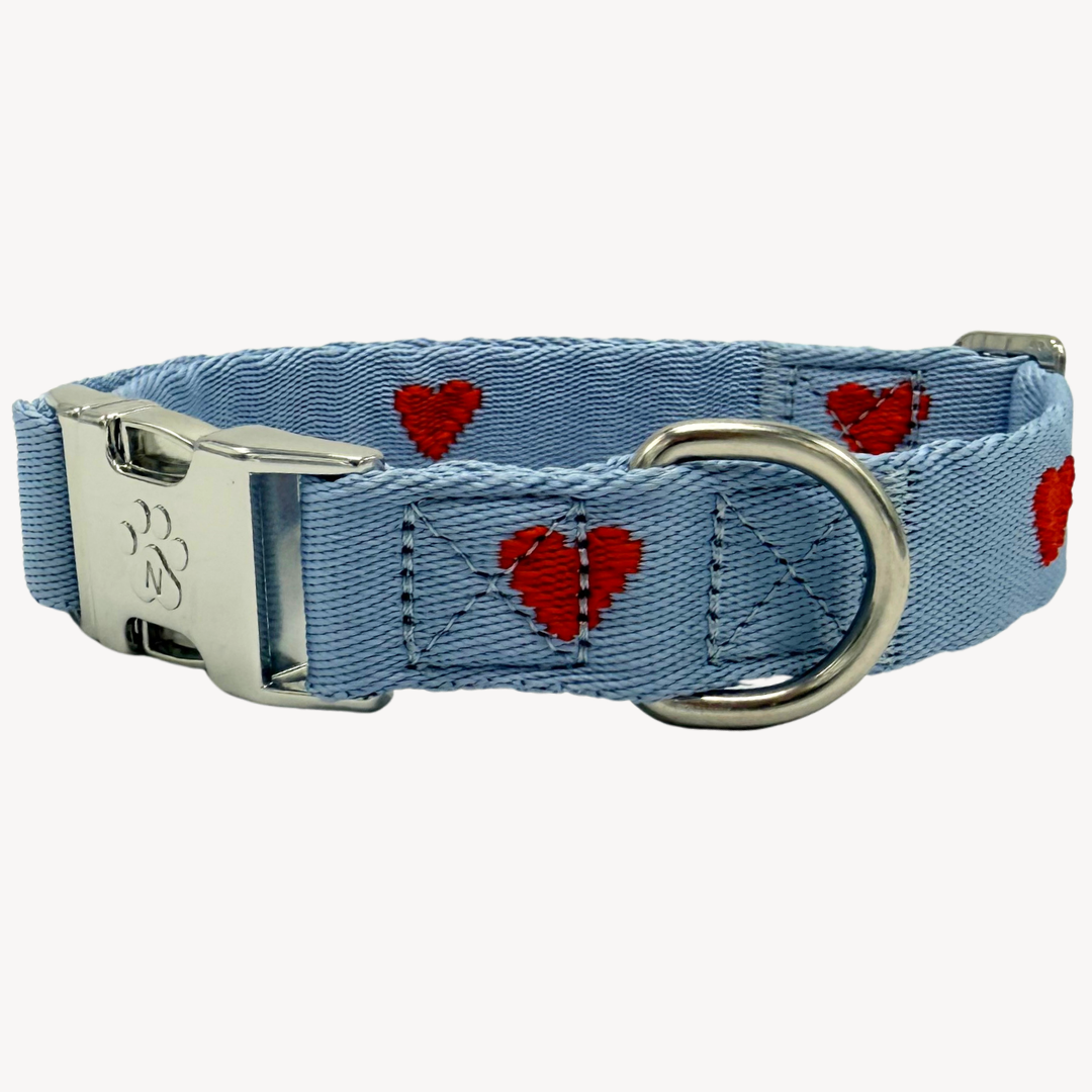 Denim Hearts - Collier pour chien