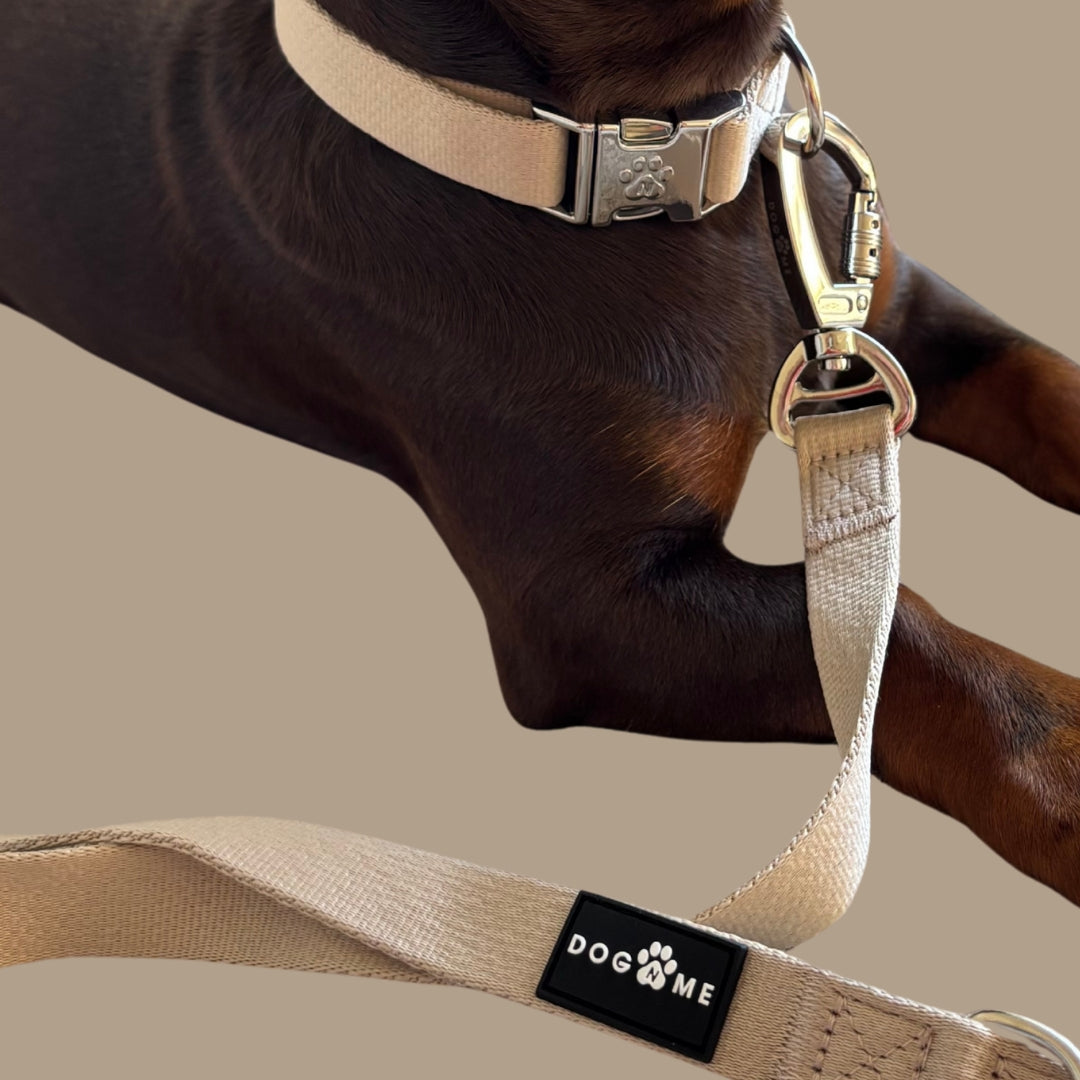 Solid - Beige - Collier pour chien