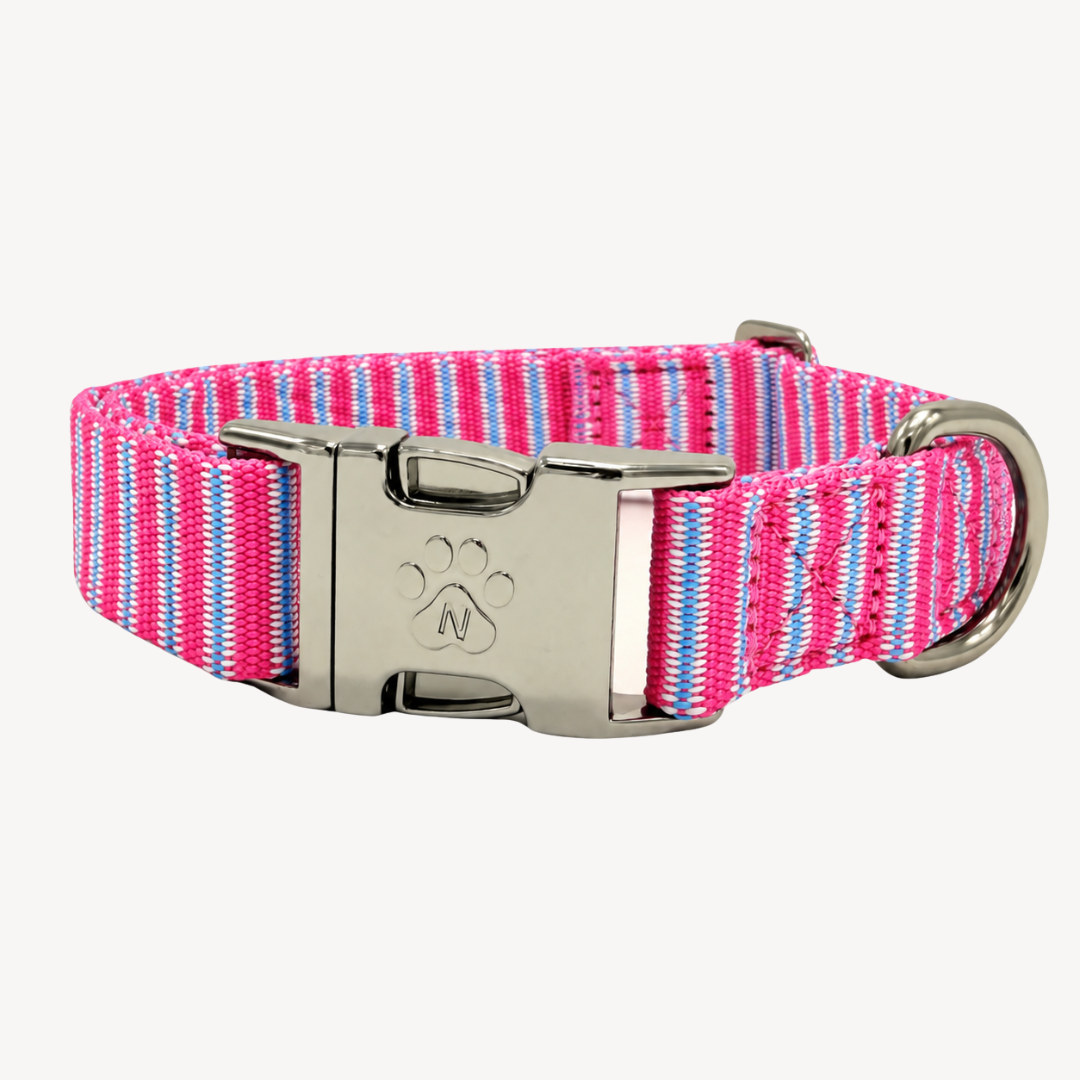 Riviera - Halsband Hond