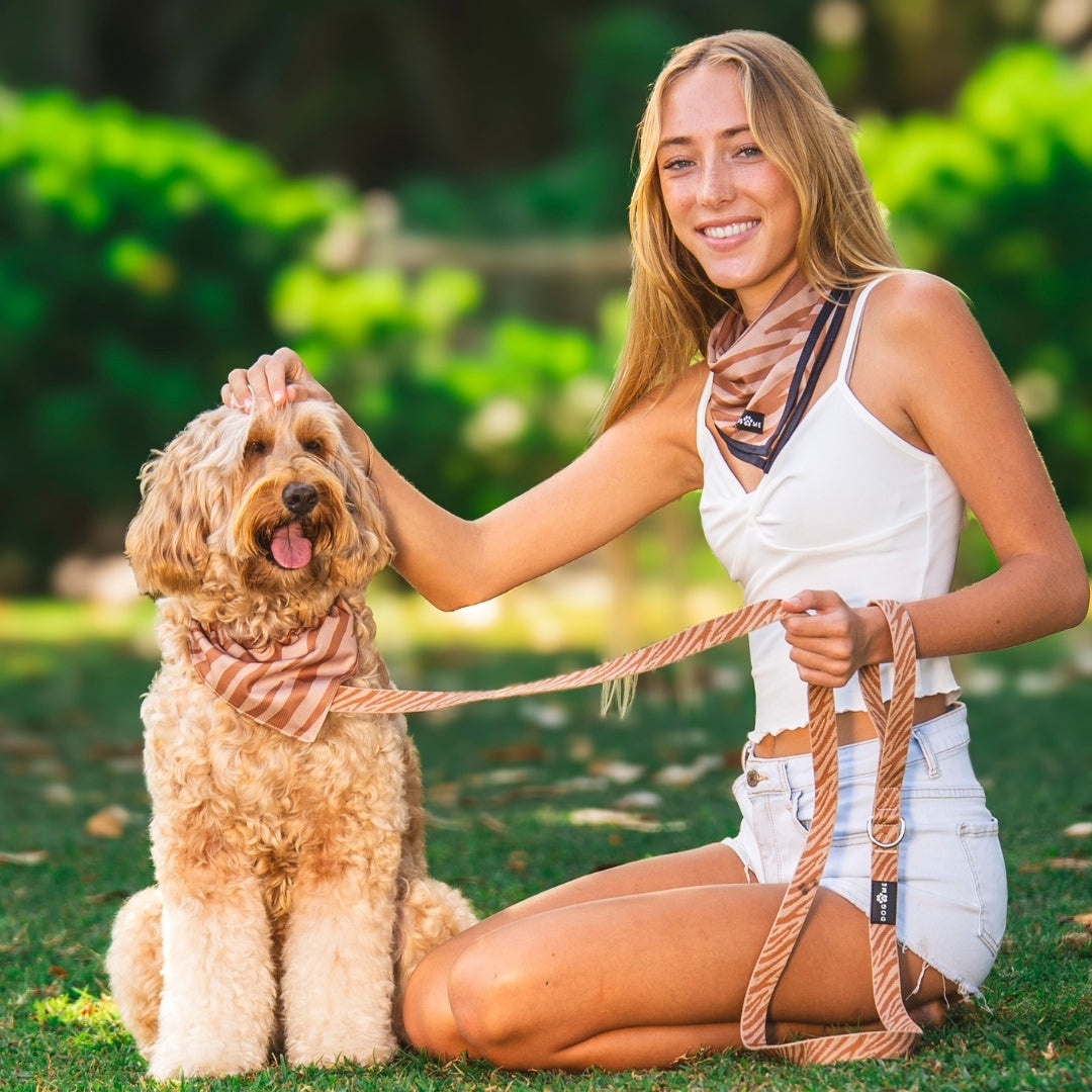 Zèbre - Trail Hunter Duo Set