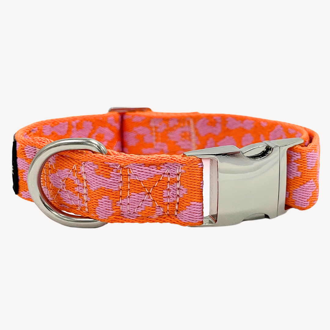 Panthère - Orange/Rose - Collier pour chien