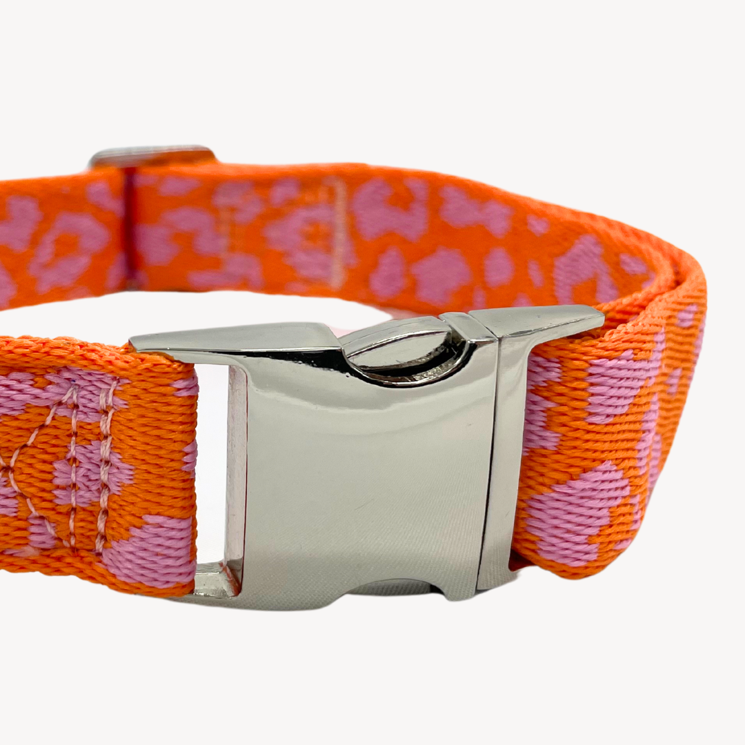 Panthère - Orange/Rose - Collier pour chien