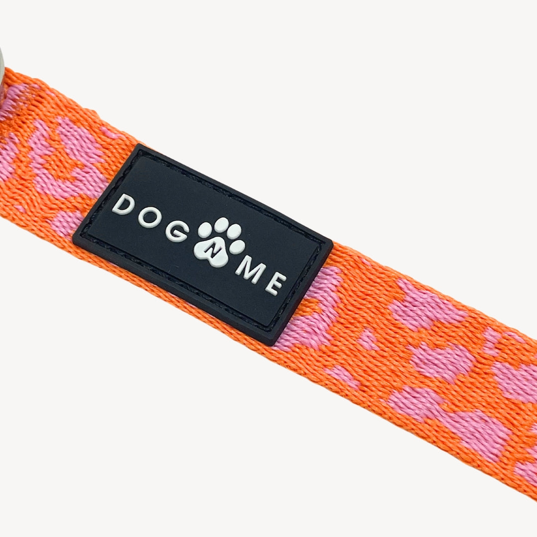 Panthère - Orange/Rose - Collier pour chien