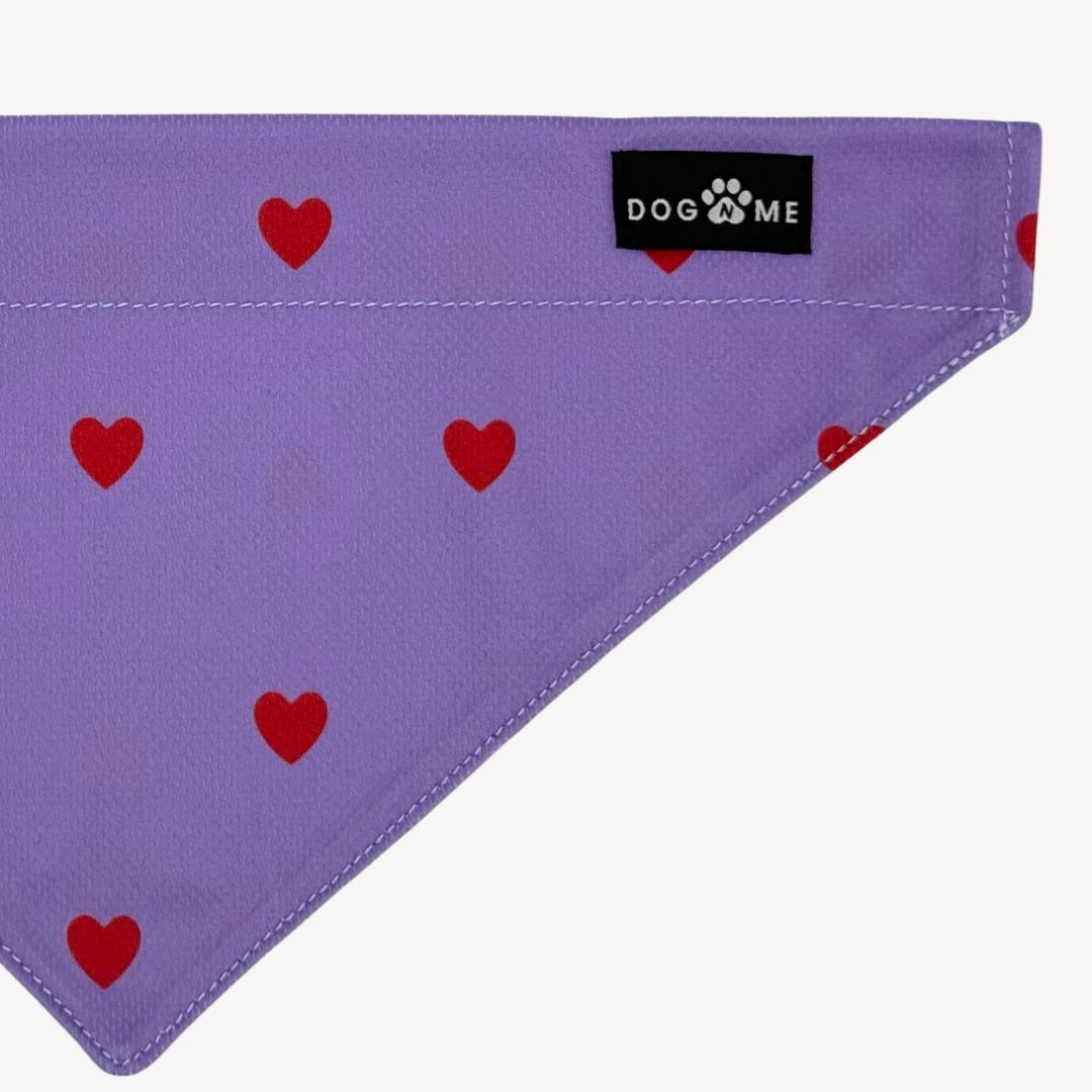 Cœurs - Violet - Bandana pour chien