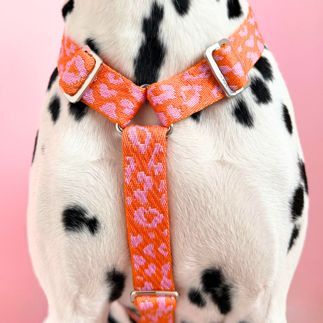 Panther - Orange/Pink - Dog Harness / Harness