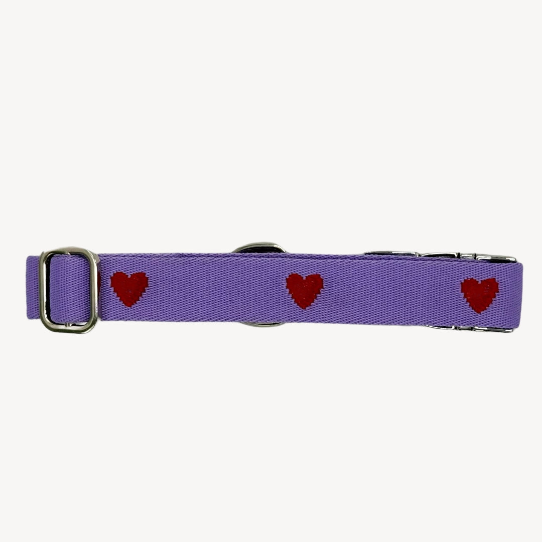 Cœurs - Violet - Collier pour chien