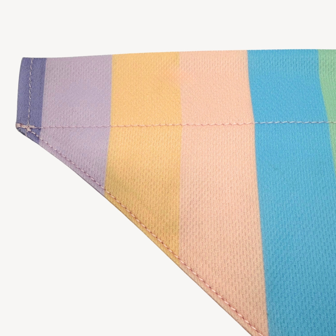 Arc-en-ciel - Bandana pour chien