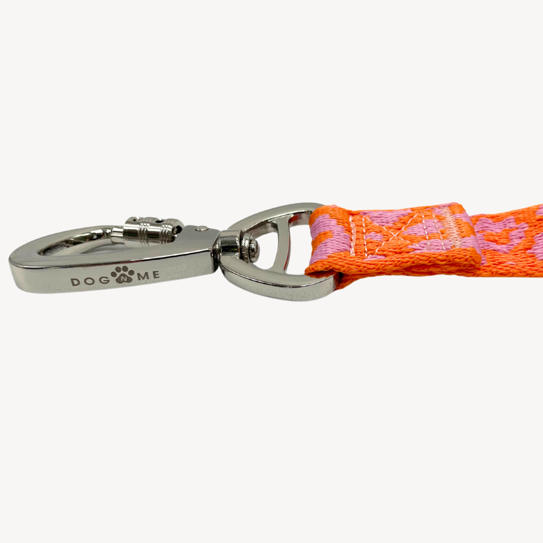 Panther 2.0 - Orange/Pink - Matching Paws set