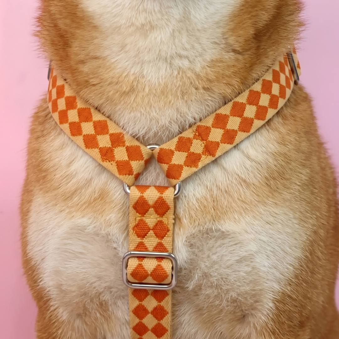 Checkers - Harnais pour chien