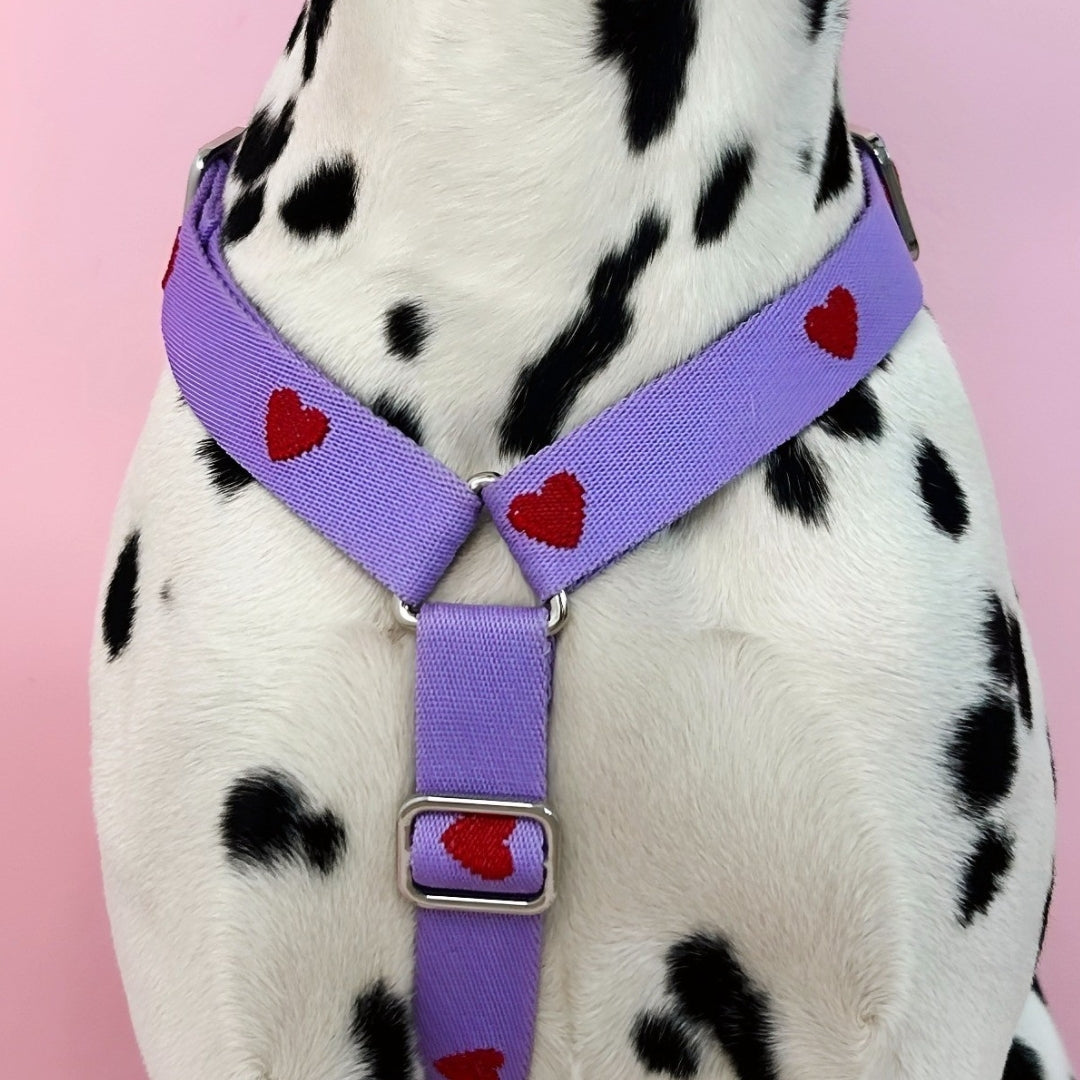 Cœurs - Violet - Harnais pour chien