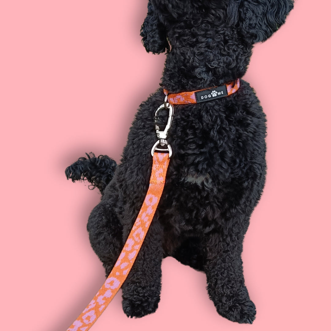 Panter - Oranje/Roze - Matching Paws set