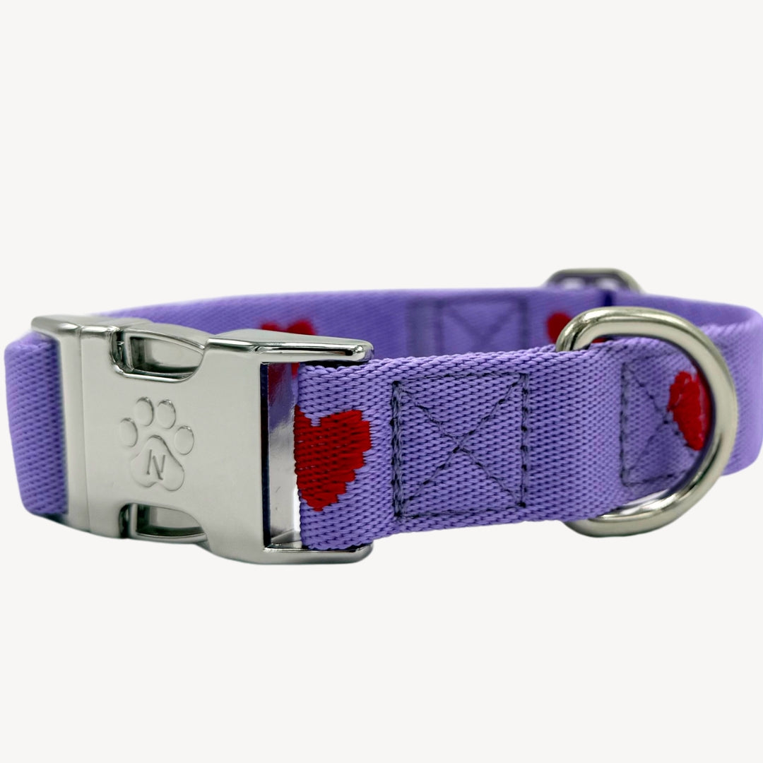 Cœurs - Violet - Collier pour chien