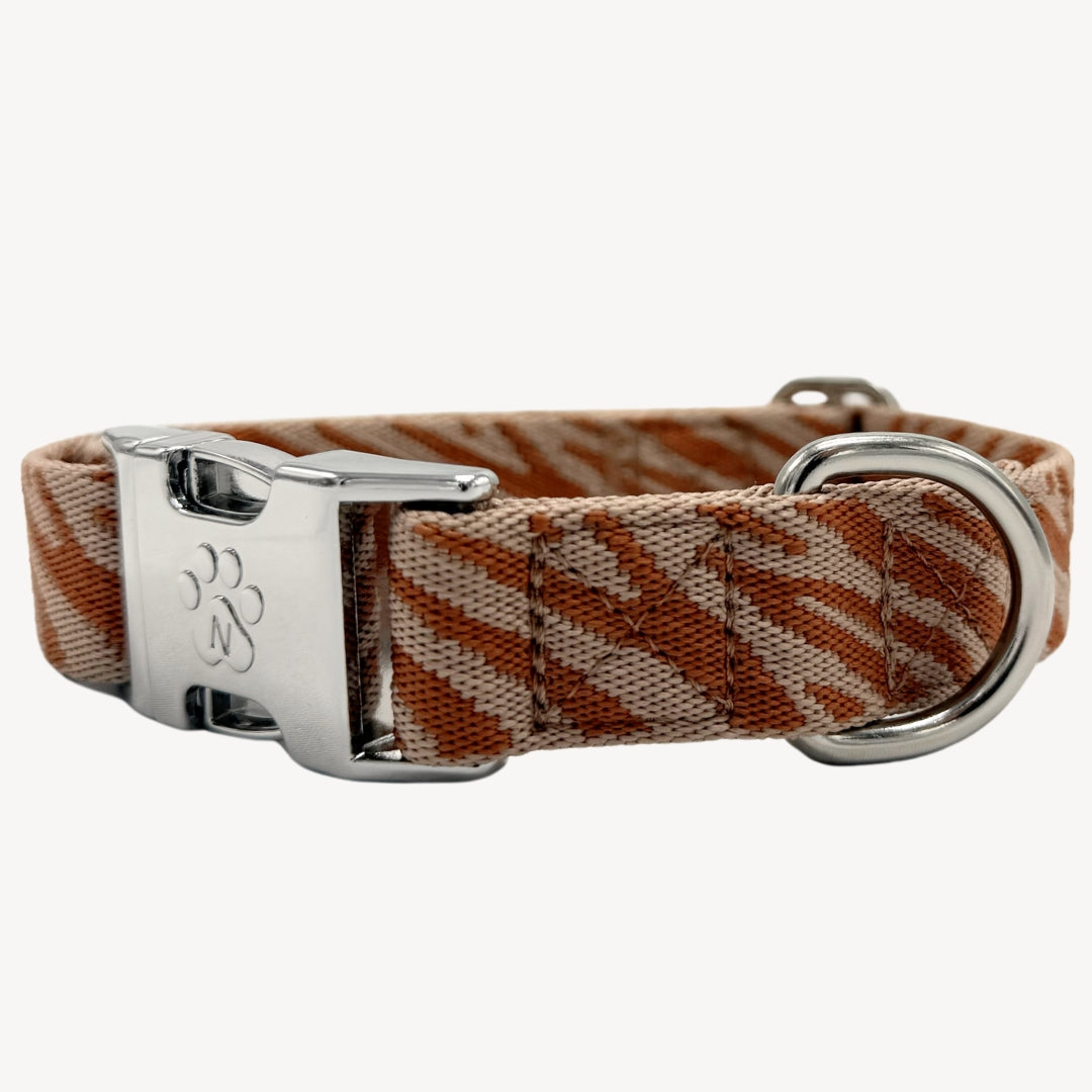Zèbre - Collier pour chien