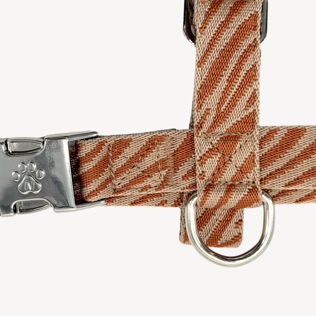 Zèbre - Harnais pour chien