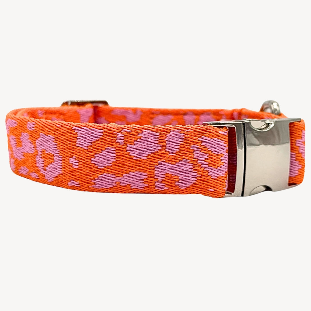 Panthère - Orange/Rose - Collier pour chien