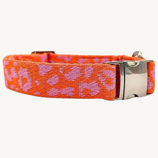Panthère - Orange/Rose - Collier pour chien