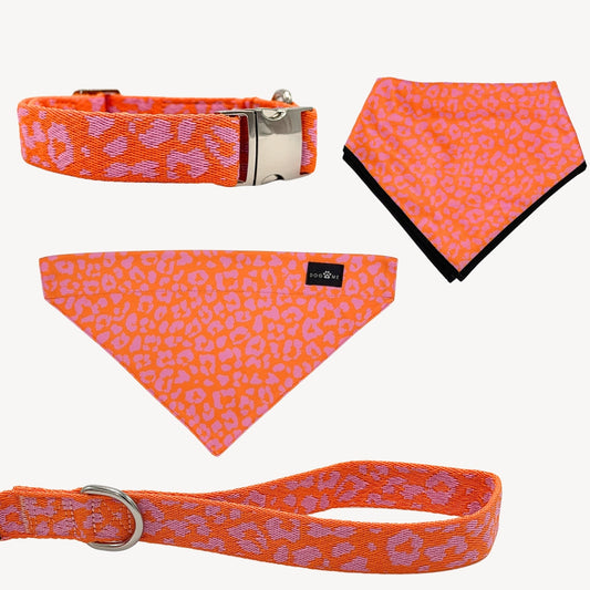 Panthère - Orange/Rose - Trail Hunter Duo Set