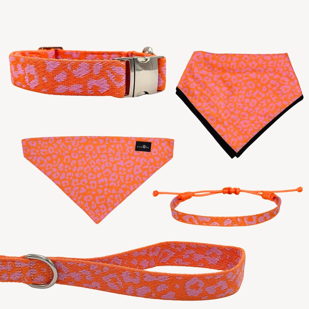 Panter - Oranje/Roze - Trail Hunter Ultra Set