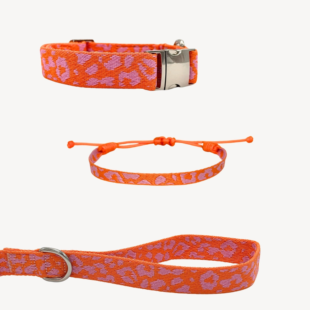 Panter - Oranje/Roze - Matching Paws set