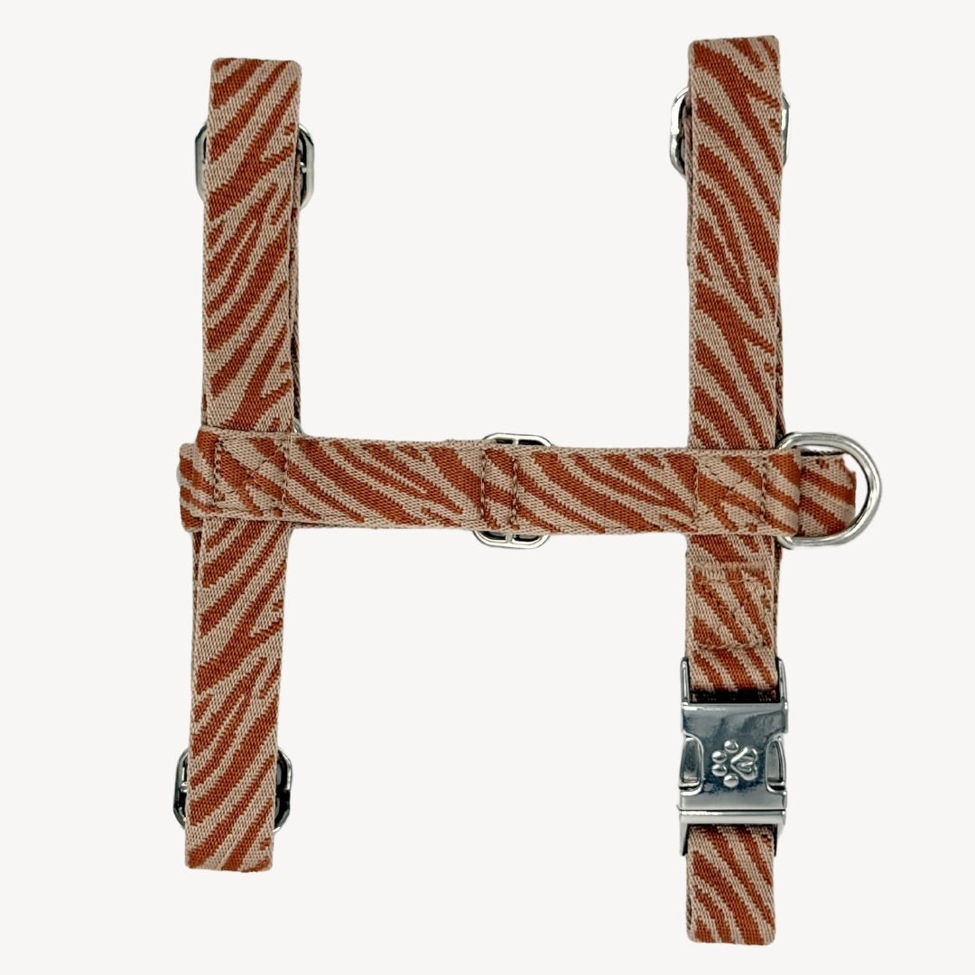 Zèbre - Harnais pour chien