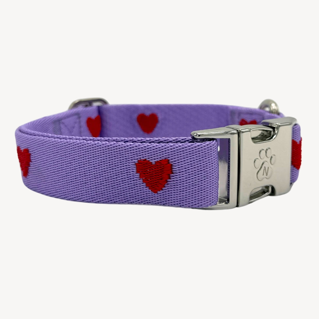 Cœurs - Violet - Collier pour chien