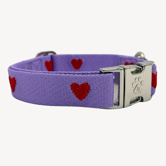 Cœurs - Violet - Collier pour chien