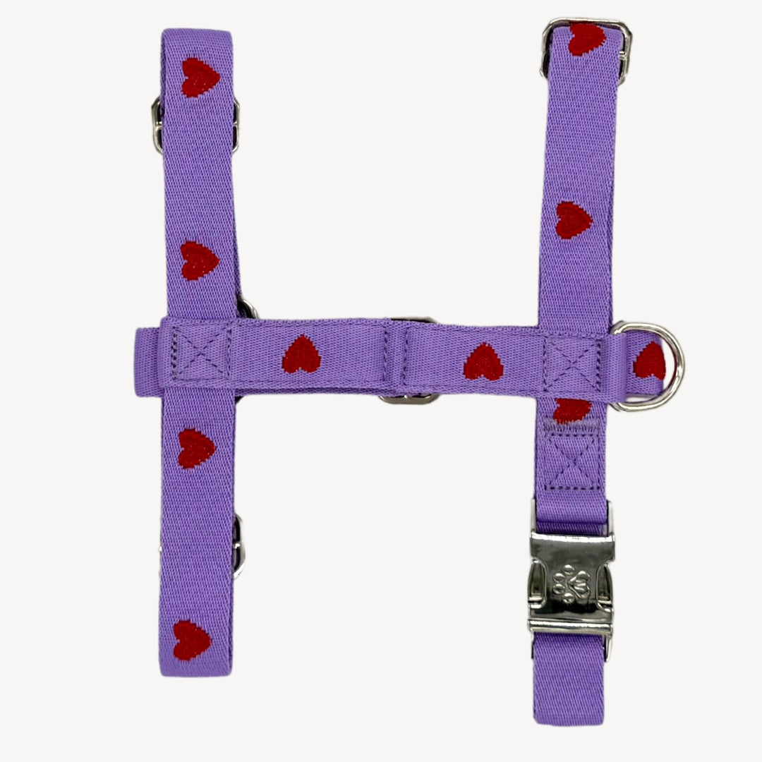 Cœurs - Violet - Harnais pour chien