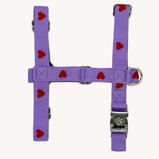 Cœurs - Violet - Harnais pour chien