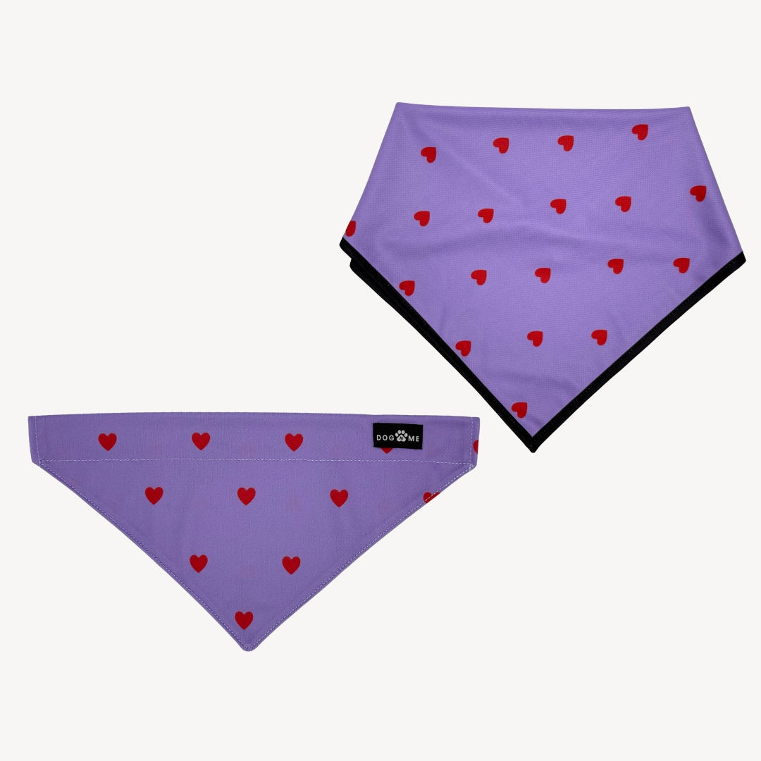 Hearts - Paars - Matching Bandana's Set