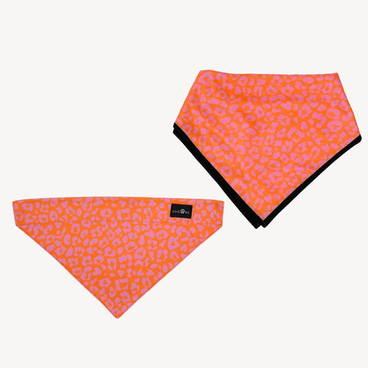 Panthère - Orange/Rose - Matching Bandanas Set