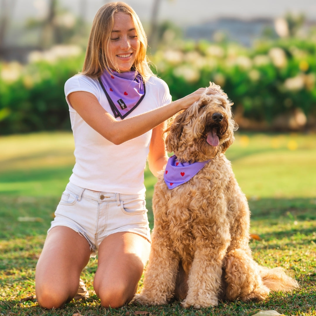 Hearts - Paars - Matching Bandana's Set