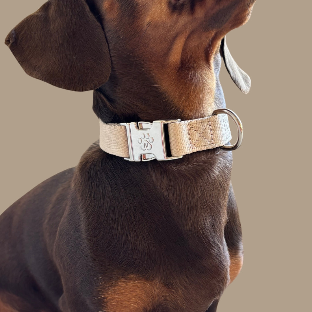 Solid - Zand - Halsband Hond