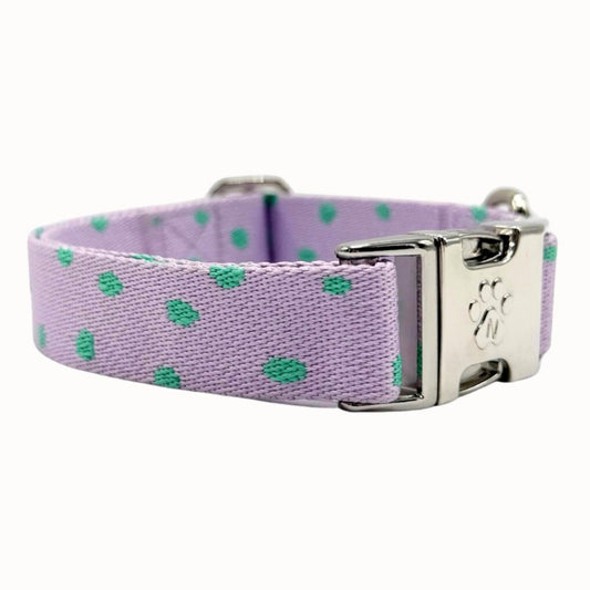 Polkadot - Collier pour chien