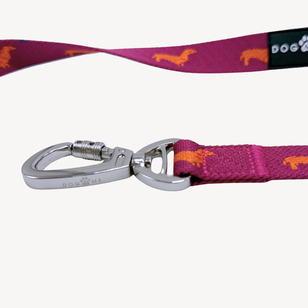 Teckels - Laisse pour chien