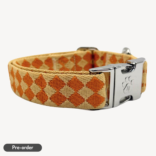 Checkers - Collier pour chien