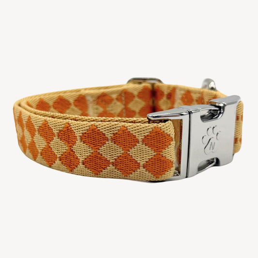 Checkers - Collier pour chien