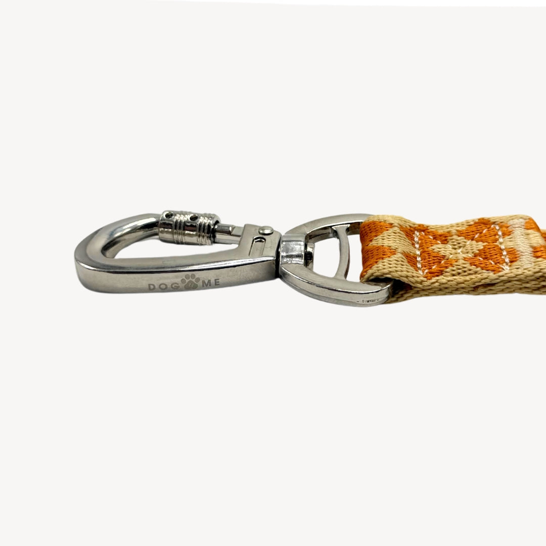 Checkers - Dog Leash