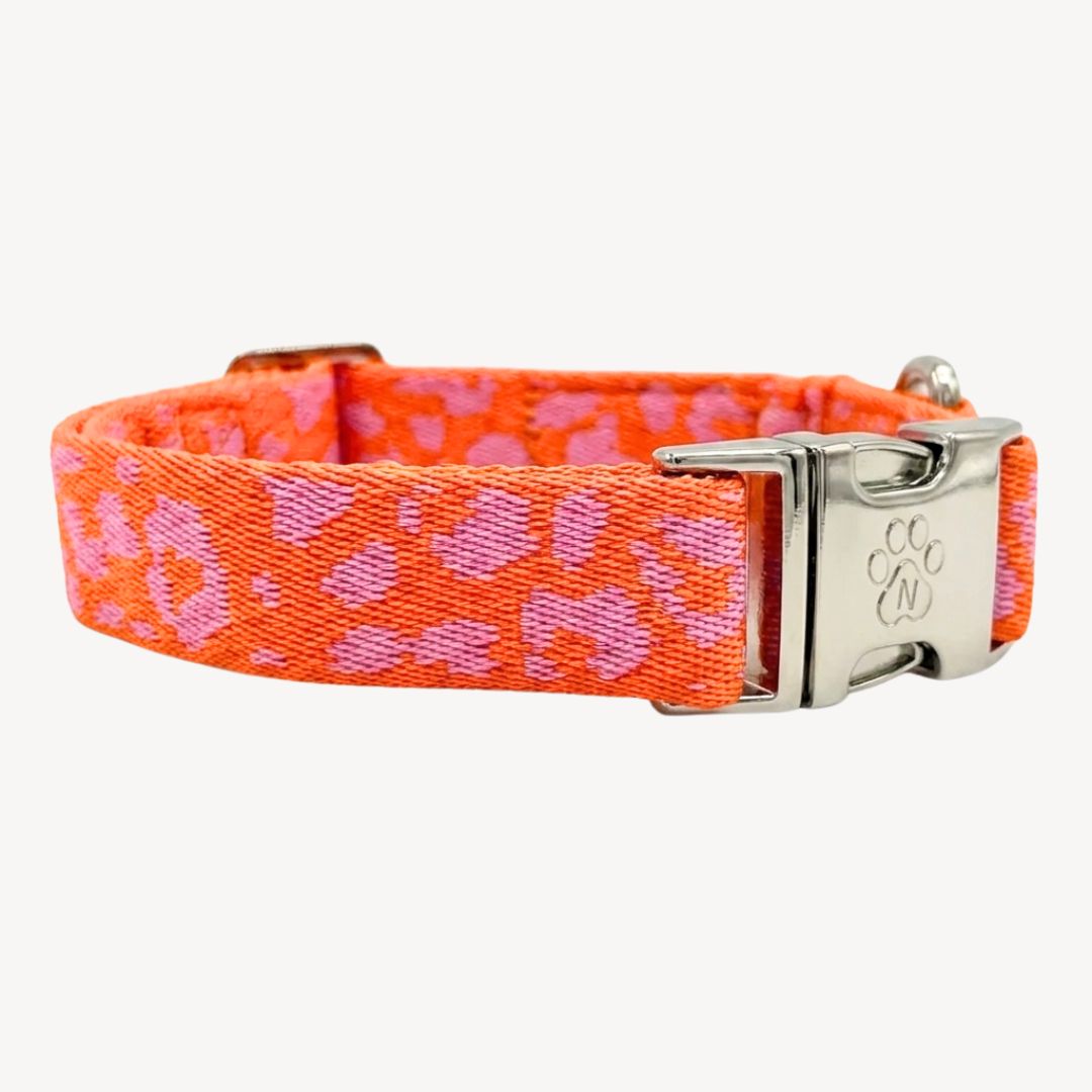 Panter 2.0 - Oranje/roze - City Walk set