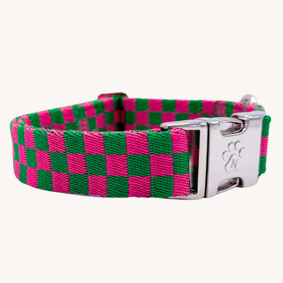 Candy Check - Dog Collar