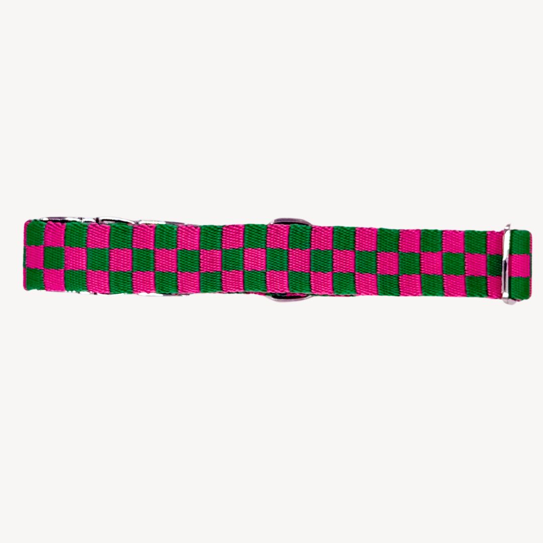 Candy Check - Dog Collar